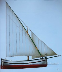 modello-vela1